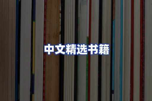 中文精选书籍